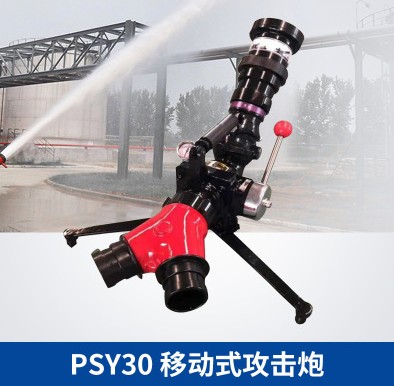 PSY30�Ƅ�ʽ����������